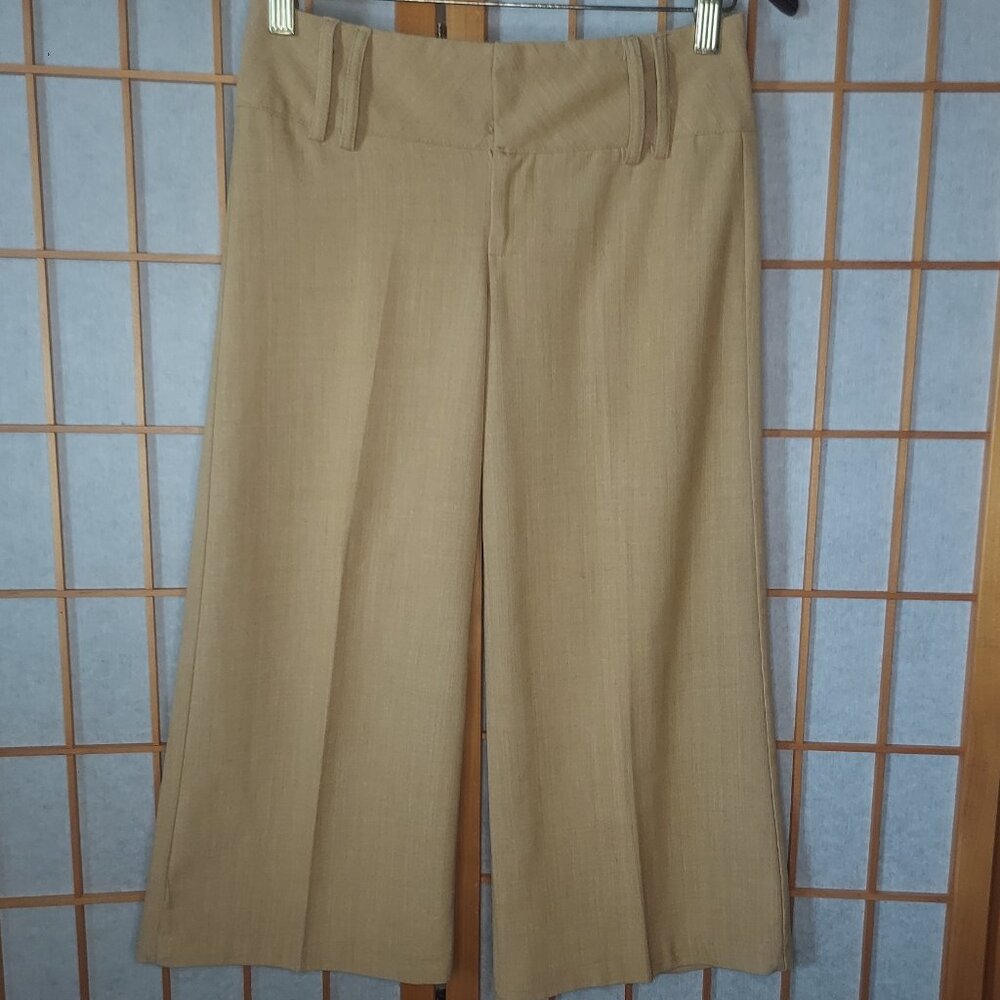 Golden Capri Pants (1)
